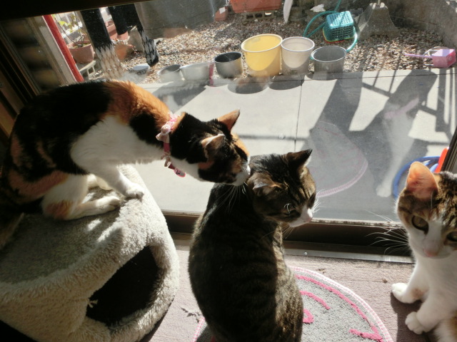 c0194042_2275650.jpg