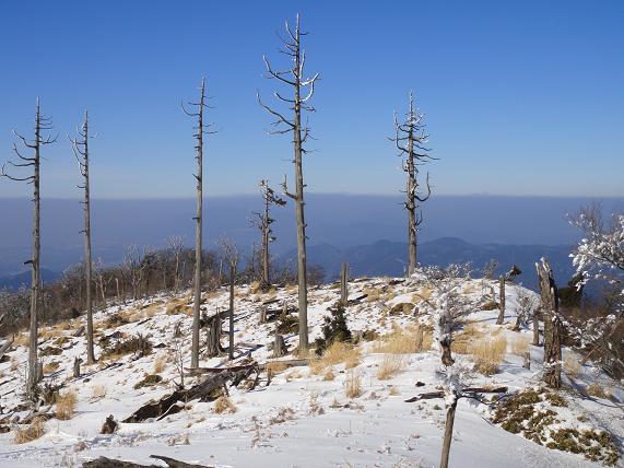e0164643_2221031.jpg