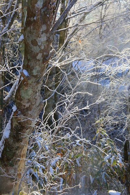 f0288049_12444334.jpg