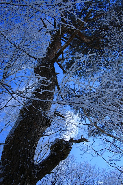 f0288049_12454596.jpg
