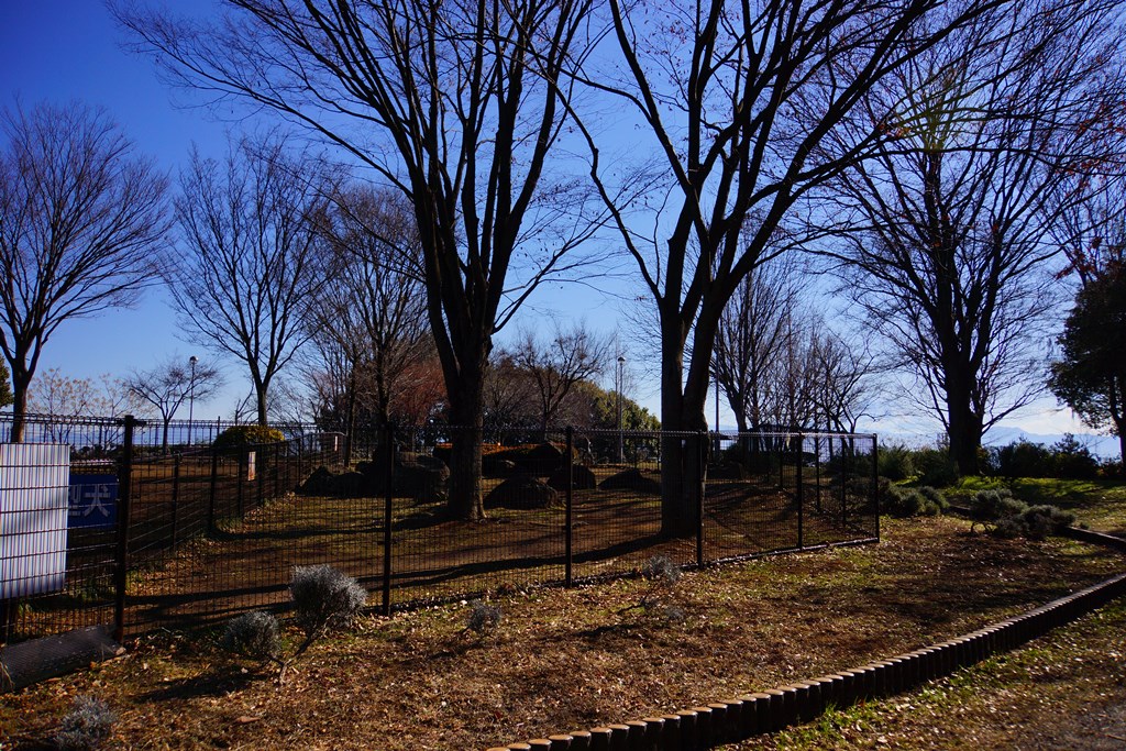 e0223456_9161041.jpg
