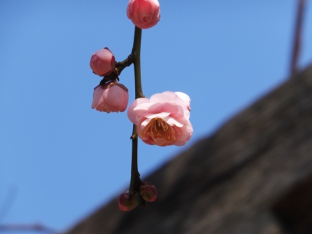 c0097558_21541791.jpg