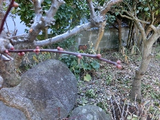 c0328559_15232789.jpg