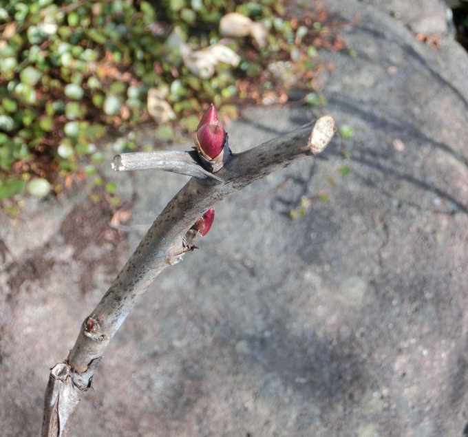 c0328559_15271216.jpg