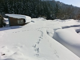 b0218664_1747996.jpg