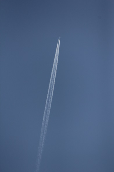 e0196465_12542527.jpg