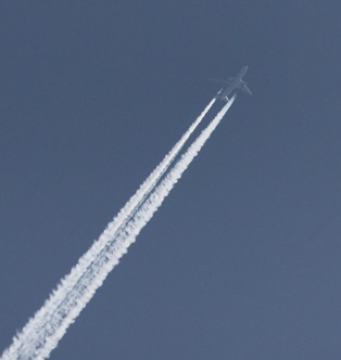 e0196465_12551829.jpg