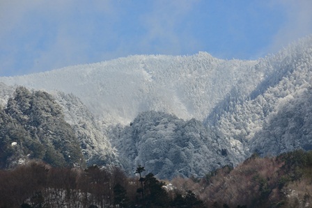 c0303868_825327.jpg