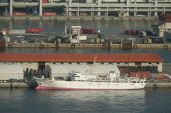b0192588_1123405.jpg