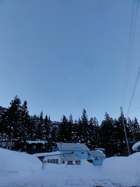 a0061599_737035.jpg