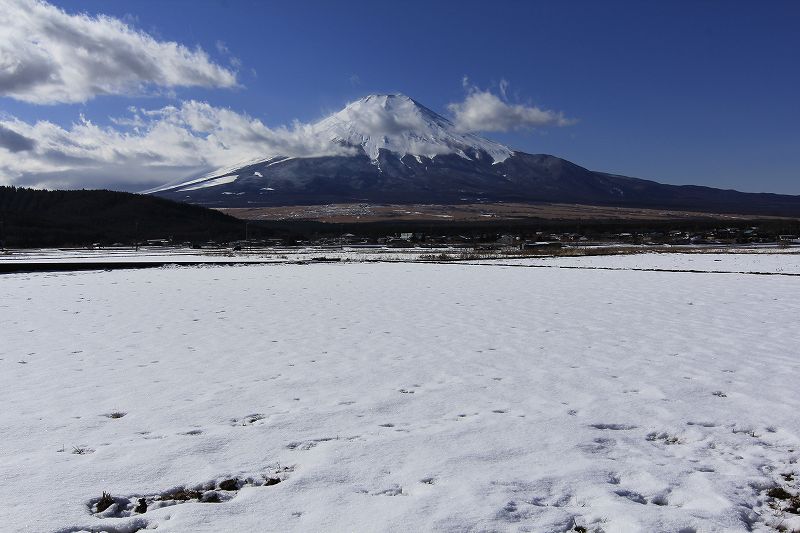 a0188405_8331321.jpg
