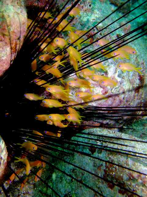 d0175710_22532258.jpg