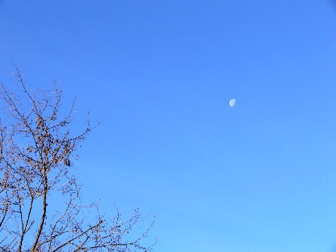 f0043911_1152477.jpg