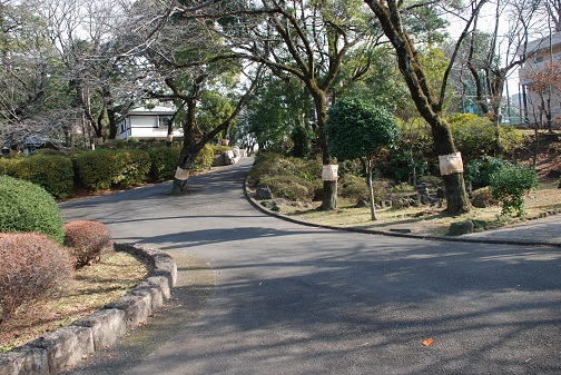 f0000521_22165211.jpg