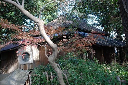 f0000521_2220366.jpg