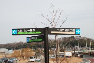 f0000521_222610.jpg