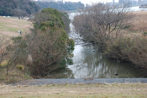 f0000521_2233438.jpg