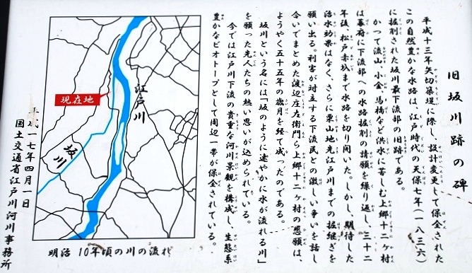 f0000521_2243173.jpg