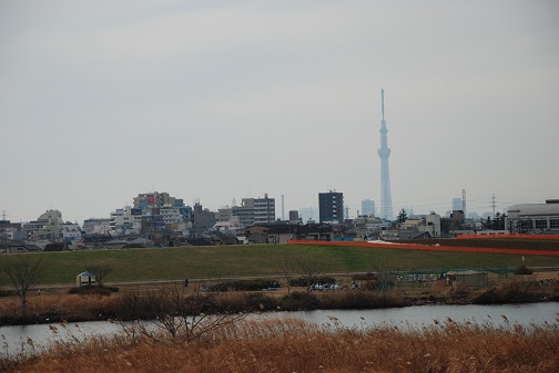 f0000521_2294271.jpg