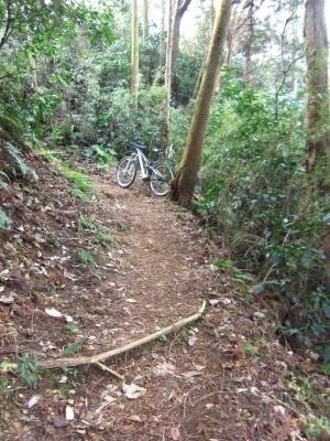 f0177521_18151060.jpg