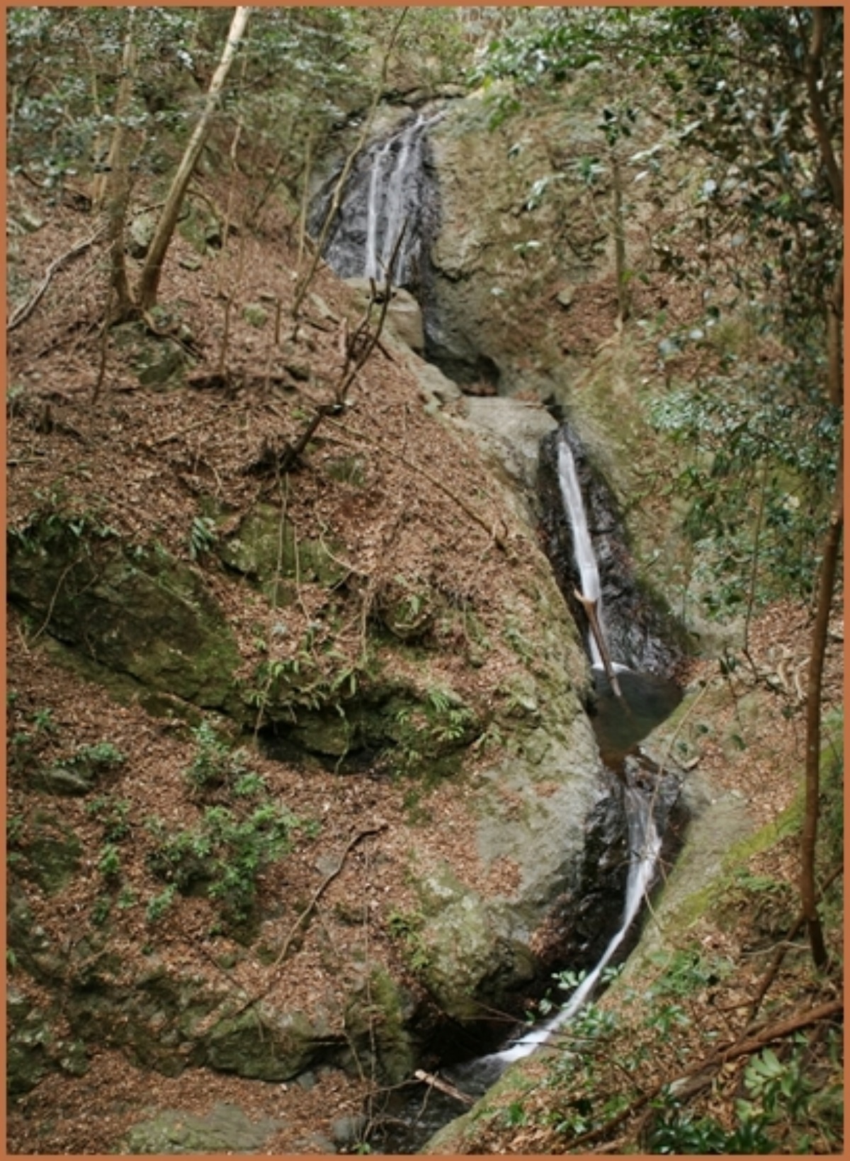e0033229_1841316.jpg