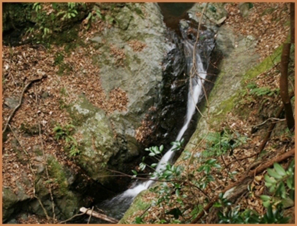 e0033229_18504524.jpg