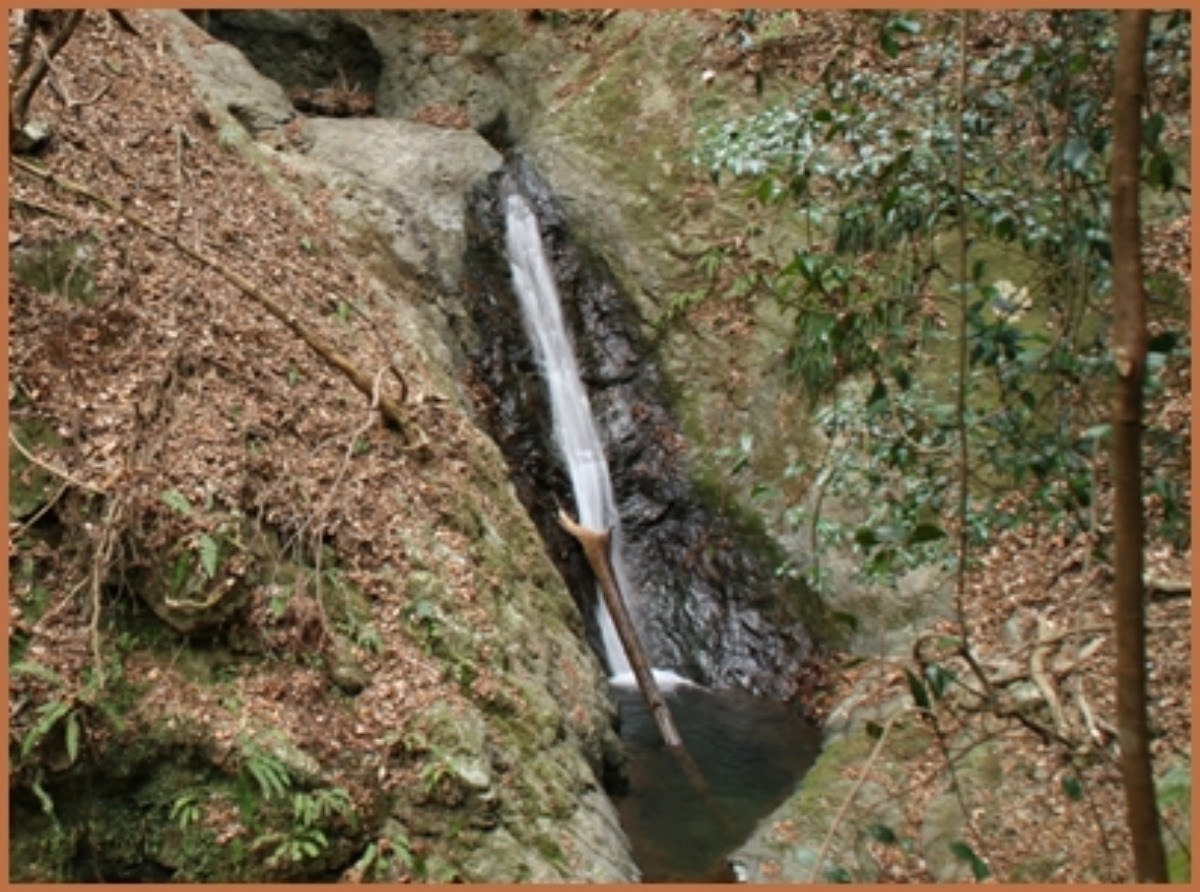 e0033229_18514652.jpg