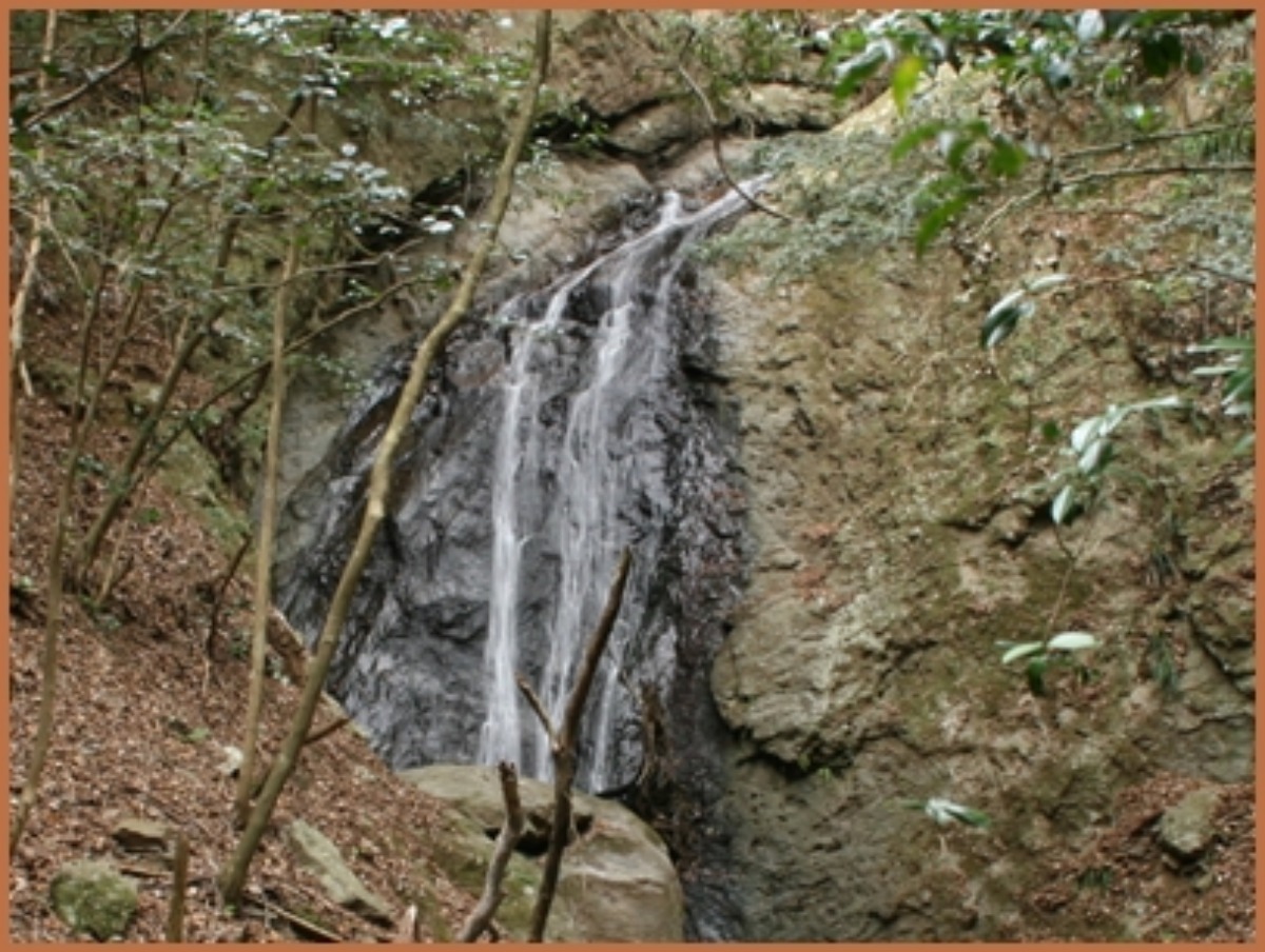 e0033229_18534827.jpg