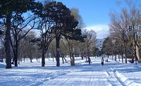 d0164636_815891.jpg