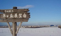 d0164636_8183119.jpg