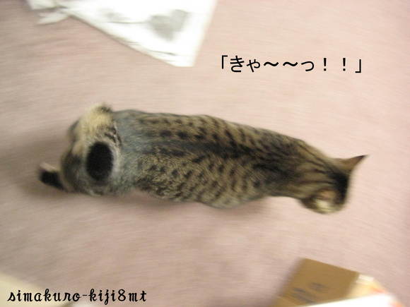 f0247039_10183259.jpg