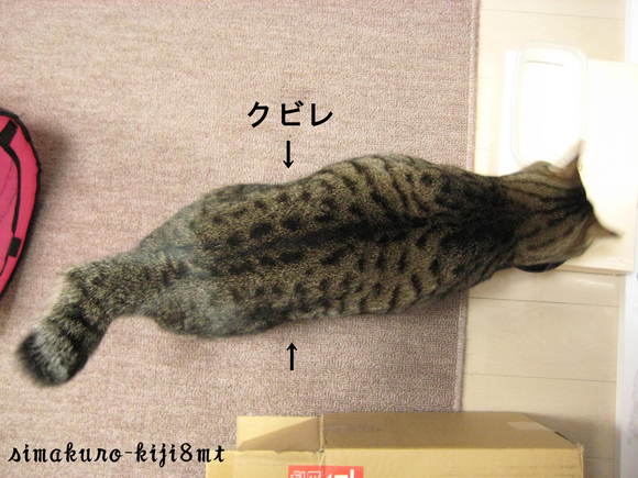 f0247039_10264323.jpg