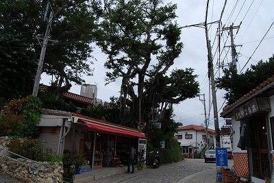 e0173645_15490682.jpg