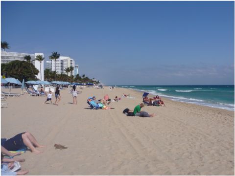 e0210347_1228636.jpg