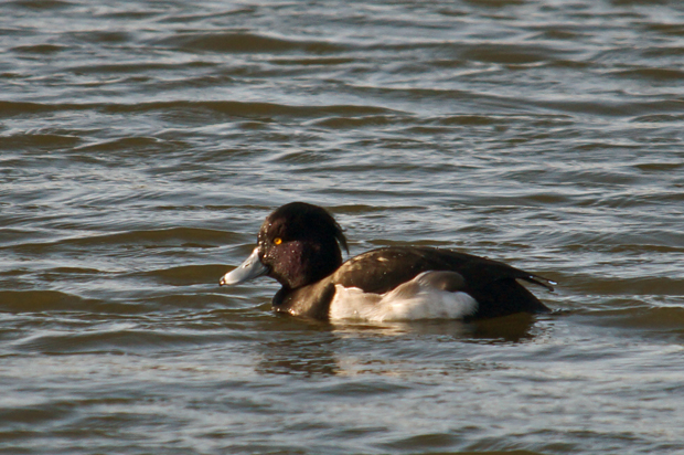 f0214649_5112630.jpg