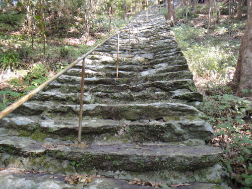c0179351_9573196.jpg