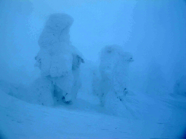 c0116856_19582696.jpg