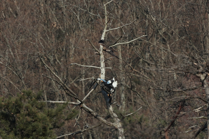 f0135157_20425765.jpg