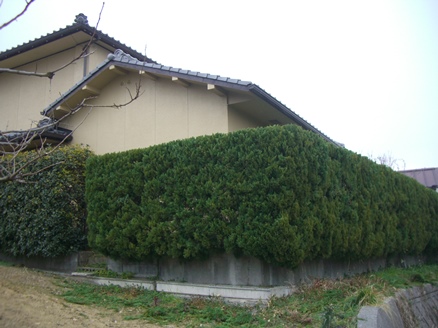 e0240973_20263683.jpg