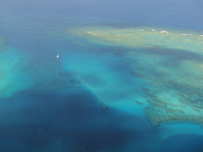 d0182075_9131979.jpg