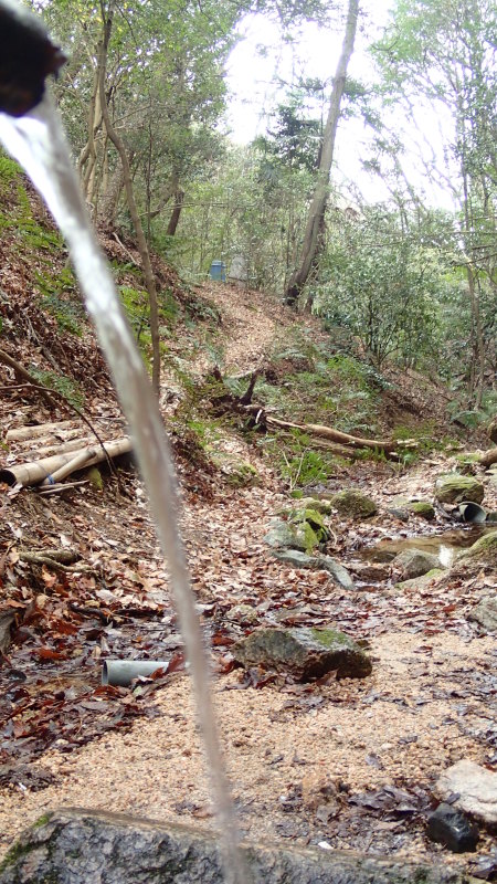 e0024081_14571901.jpg
