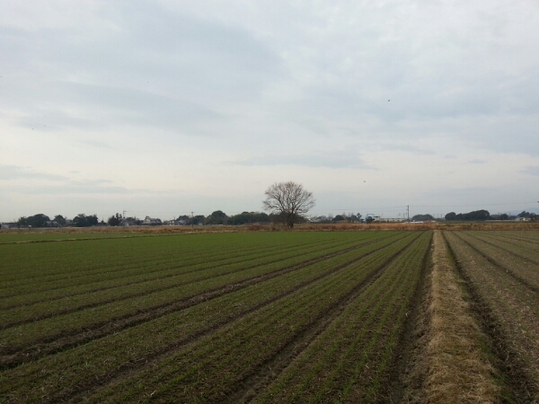 f0183484_13246100.jpg