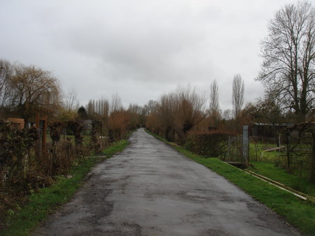 a0247585_9451018.jpg