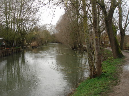 a0247585_952168.jpg