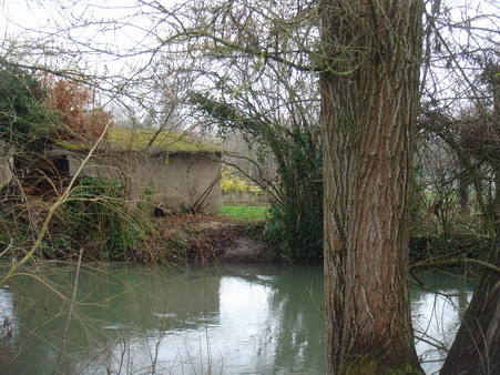 a0247585_9524648.jpg