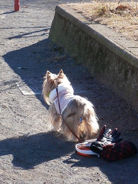 f0130894_2155519.jpg