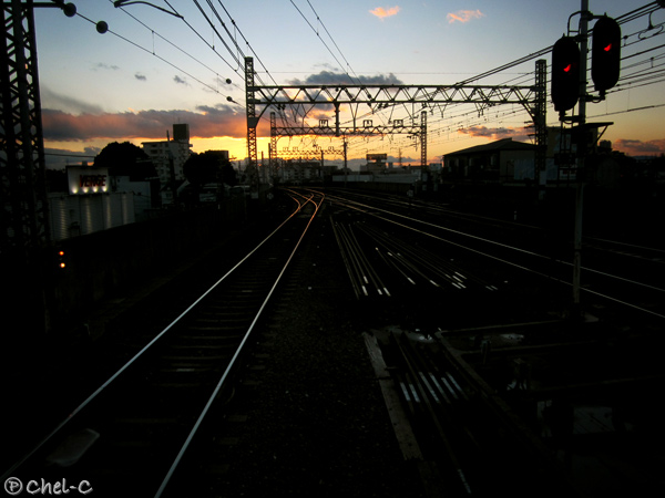 a0154706_10153635.jpg