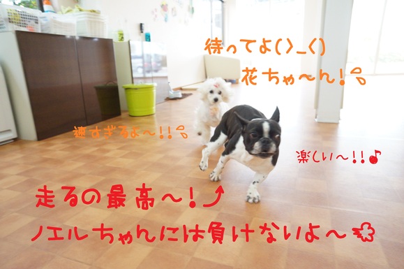 d0220513_16171450.jpg
