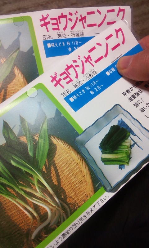 a0030715_1544490.jpg
