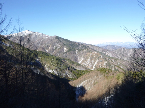 d0170615_614465.jpg